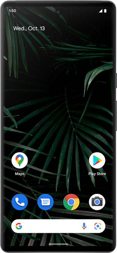 Pixel 6 Pro